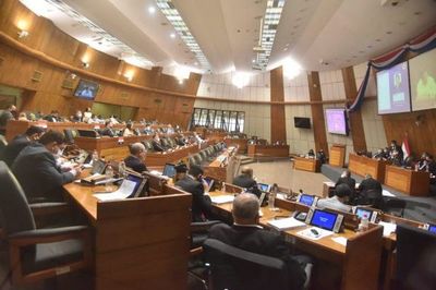 Pasa al archivo veto a la ley que permite falsear declaraciones juradas