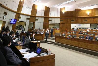 Ley Godoy en Diputados: Hoy se decidirá si recorte salarial afectará también a funcionarios de las binacionales
