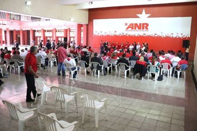 ANR: Fracasa primer intento de convención autoconvocada