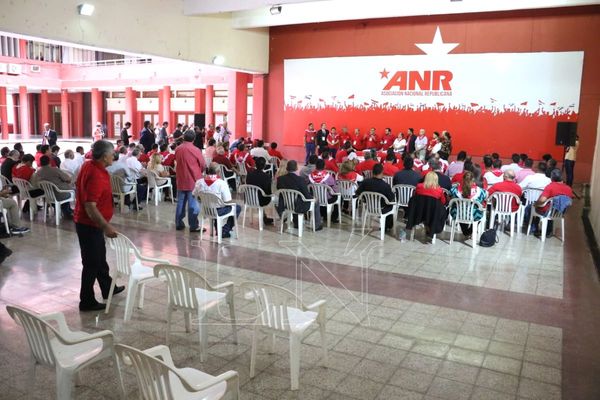 ANR: Fracasa primer intento de convención autoconvocada