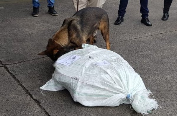 Incautan carga de 22 kilos de estupefaciente en el Aeropuerto Silvio Pettirossi » Ñanduti