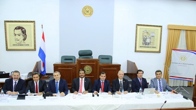 La próxima semana concluirán audiencias públicas para Defensor General » Ñanduti