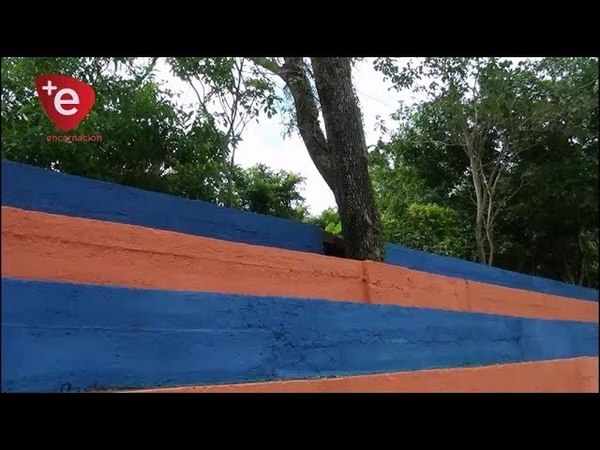AÑEJO ÁRBOL FUE NOMBRADO SOCIO DEL CLUB ATHLETIC DE ENCARNACIÓN