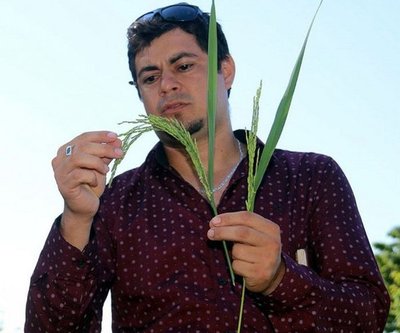 Circuito del Arroz busca atraer turistas a Carmen del Paraná - Edicion Impresa - ABC Color