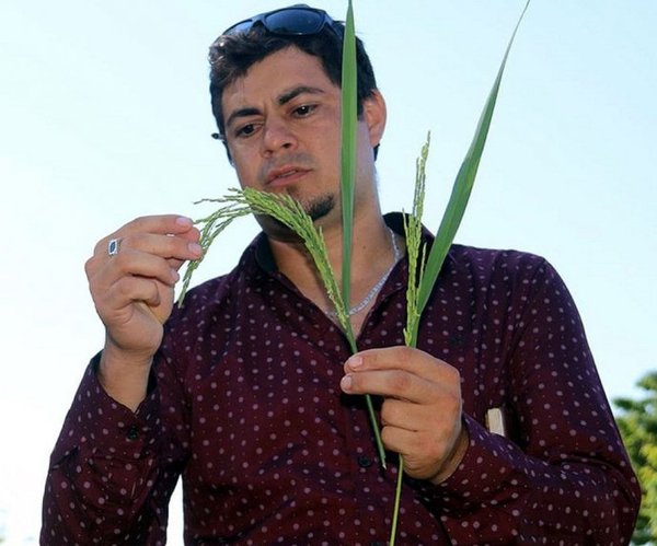 Circuito del Arroz busca atraer turistas a Carmen del Paraná - Edicion Impresa - ABC Color