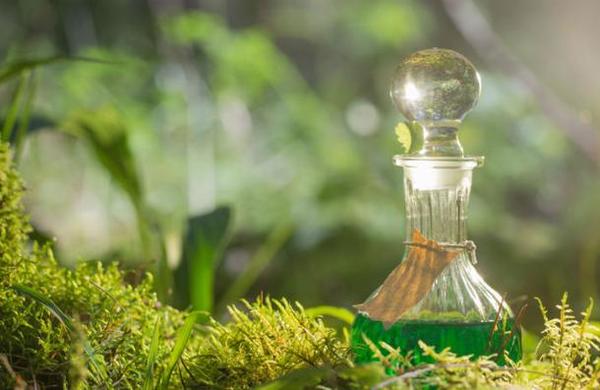 Arqueólogos hallan lo que sería el 'elixir de la inmortalidad' en una tumba en China - C9N