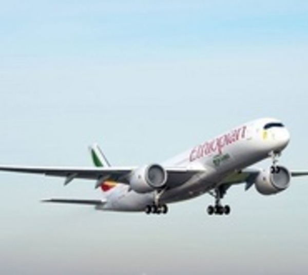 Se estrelló un avión comercial y mueren 157 personas - Paraguay.com