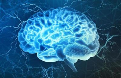 Curiosidades sobre el cerebro humano que seguramente desconocías - C9N