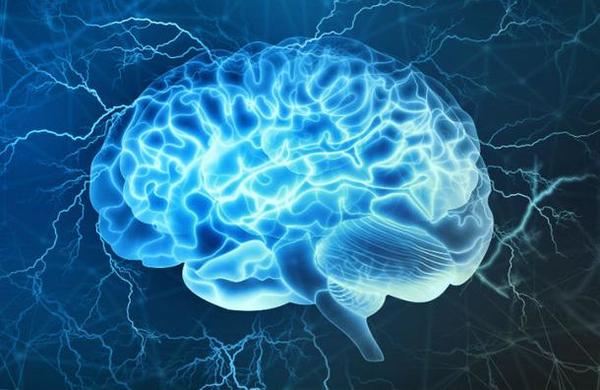 Curiosidades sobre el cerebro humano que seguramente desconocías - C9N