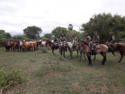 Recuperan animales vacunos robados en estancia del Chaco - Nacionales - ABC Color