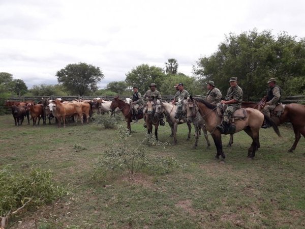 Recuperan animales vacunos robados en estancia del Chaco - Nacionales - ABC Color