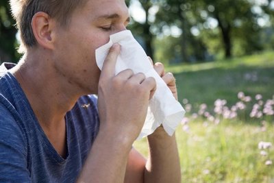 Todo sobre la alergia al polen - Estilo De Vida - ABC Color