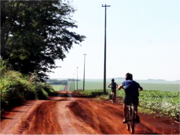 Alertan sobre plantaciones de soja sin barreras verdes de protección