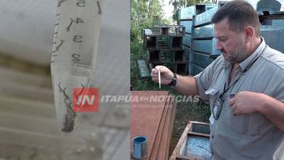 50 CASOS SOSPECHOSOS DE DENGUE Y 10 CONFIRMADOS EN TODO ITAPÚA.