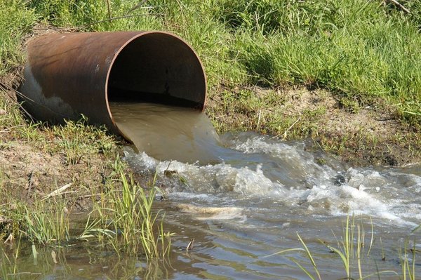 Investigación sobre malformaciones congénitas causadas por contaminantes de ríos - Ciencia - ABC Color