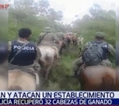 Policías recuperan vacas robadas de establecimiento ganadero - Paraguay.com