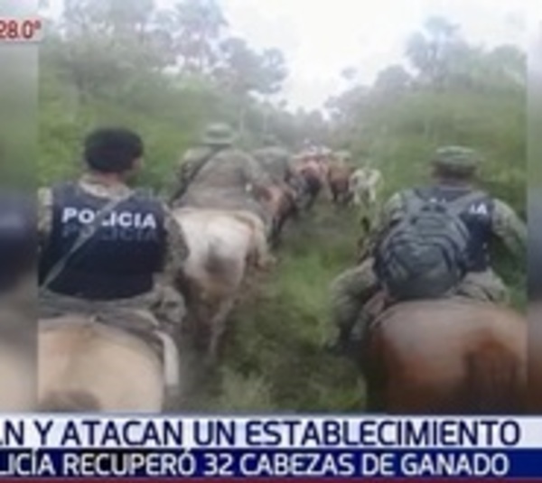 Policías recuperan vacas robadas de establecimiento ganadero - Paraguay.com