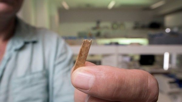 Herramientas para hacer tatuajes que tienen 2.700 años - Ciencia - ABC Color