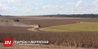 MADES RECUERDA QUE PRODUCTORES QUE DEBEN RESPETAR FRANJAS DE PROTECCIÓN.