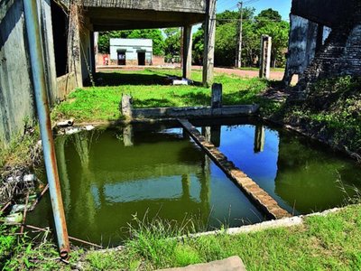 Un estadio abandonado en Limpio alberga   criaderos de mosquitos