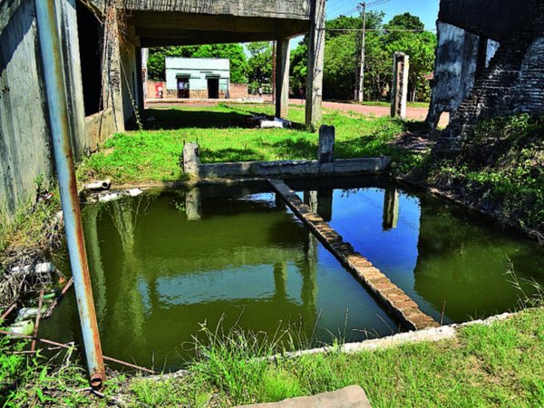 Un estadio abandonado en Limpio alberga criaderos de mosquitos