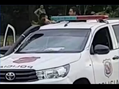 Una perra cuida y amamanta a un pequeño mono