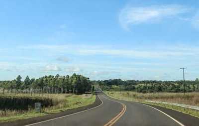 Iniciará pavimentación del tramo Ruta 10 – Araujo Cué | .::Agencia IP::.
