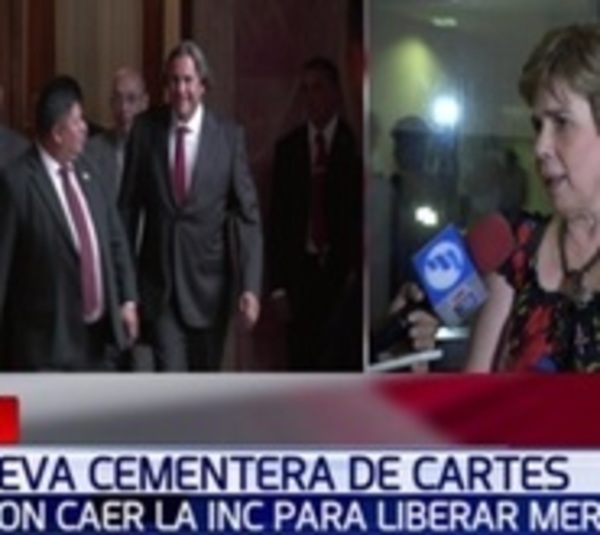 Senadora Masi califica como "decepción" que Abdo reciba a José Ortiz - Paraguay.com