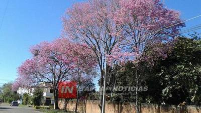 CNEL. BOGADO: LANZAN CAMPAÑA DE REFORESTACIÓN “PLANTEMOS VIDA”