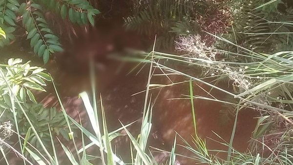 HALLAN CADÁVER EN UN ARROYO EN TOMÁS R. PEREIRA.