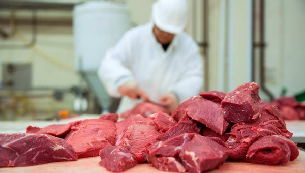 “Exportaciones disminuyeron solo 1% en relación al año pasado, no se puede hablar de recesión”