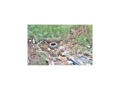 Inmenso baldío con posibles criaderos en zona residencial