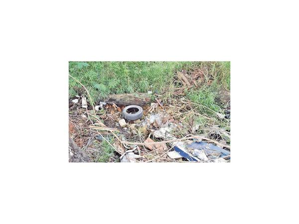 Inmenso baldío con posibles criaderos en zona residencial