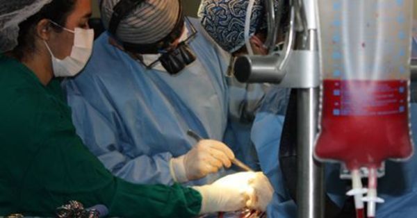 Extranjeros realizarán cirugías cardíacas complejas a pacientes pediátricos