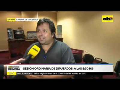 Sesión de Diputados tratará tema de becas de Itaipú - Tv - ABC Color