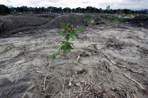 ONU: Los daños al medioambiente causan 1 de cada 4 muertes prematuras en el mundo