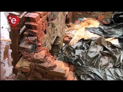 OLEROS SUFREN MILLONARIAS PÉRDIDAS