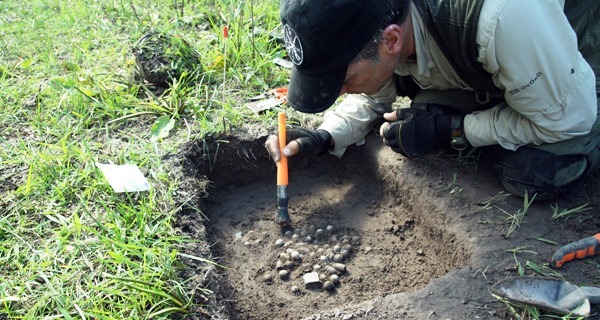 Estudiantes de Historia se especializarán en arqueología y gestión cultural | .::Agencia IP::.