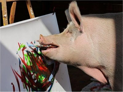 Cerdita pintora Pigcasso acapara la atención en granja de Sudáfrica
