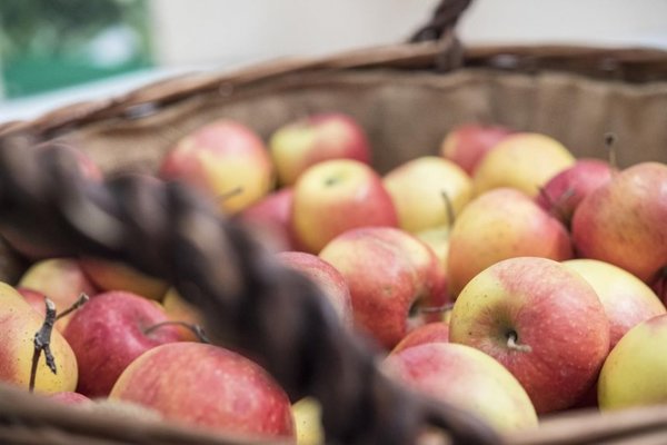 Cómo conservar frutas y verduras - Estilo De Vida - ABC Color