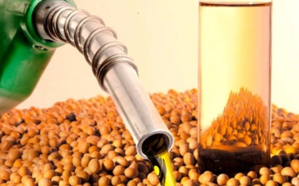 BIOCOMBUSTIBLE SERÍA PRODUCIDO EN BASE A ACEITE DE SOJA