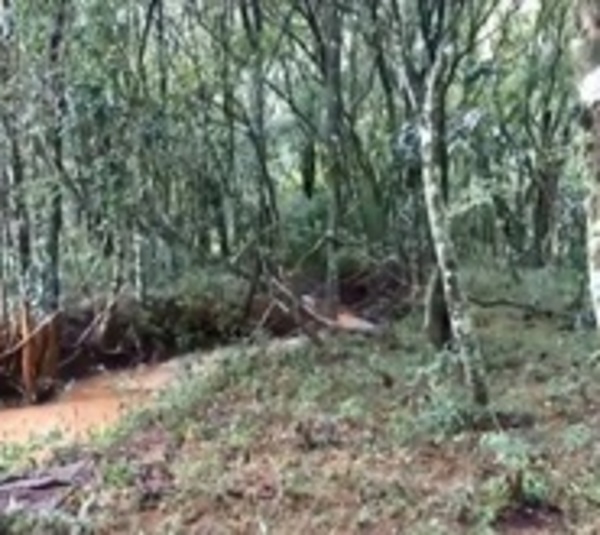 Joven de 22 años perdió la vida tras ser arrastrado por raudal - Paraguay.com