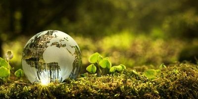 México apuesta por la cultura para fortalecer la educación ambiental » Ñanduti