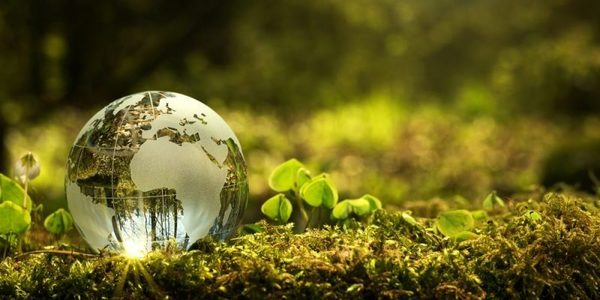 México apuesta por la cultura para fortalecer la educación ambiental » Ñanduti