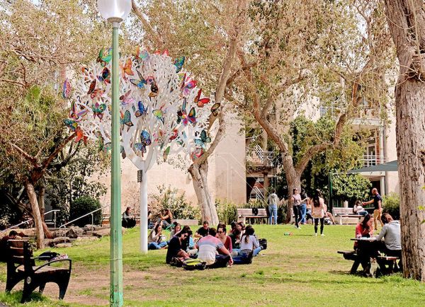 Universidad Hebrea investigará potencial de hierbas medicinales