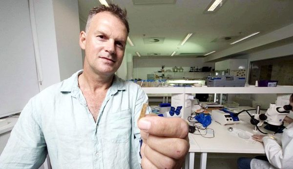 Tatuajes ancestrales en Tonga - Edicion Impresa - ABC Color