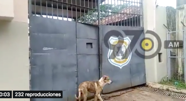 HOY / Matan de una puñalada a recluso en CDE