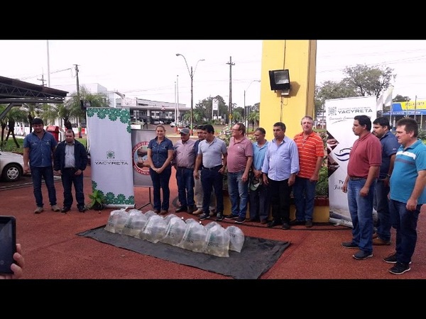 FOMENTAN CRÍA DE PECES EN BELLA VISTA