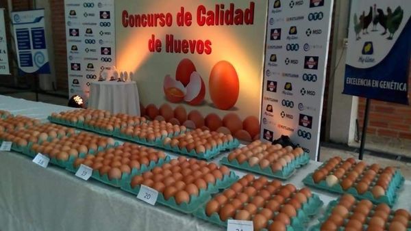 Empresa roseña entre los primeros puestos del país en un concurso de calidad de huevos - Digital Misiones
