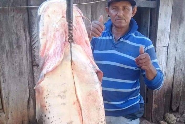 HOY / Pescan un surubí de 70 kilos, evaluado en más de 4 millones